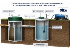 Зорде Рейн 10 Миди
